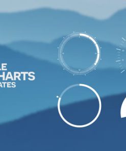 46 Single Round Charts | Infographics Pack