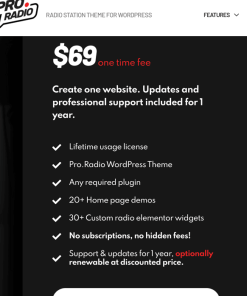 PRO RADIO WORDPRESS THEME - 1 website