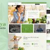 Aarogya | Dietitian, Weight Loss and Nutrition WordPress Theme