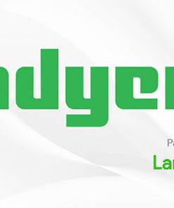 Adyen Payment Gateway Plugin