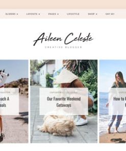 Aileen - A Personal Blog & Shop Theme