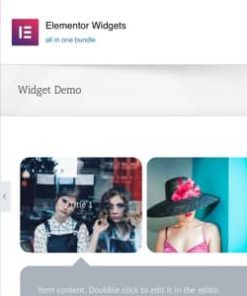 All In One Widget | Addon for Elementor Page Builder WordPress Plugin