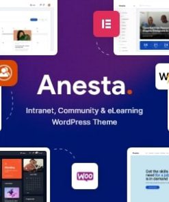 Anesta - Intranet, Extranet, Community and BuddyPress WordPress Theme