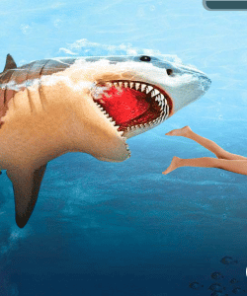 Angry Shark Attack: Wild Shark