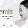 Artemis | Multi-purpose WooCommerce WordPress Theme