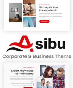 Asibu - Business WordPress Multi-Purpose