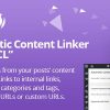 Automatic Content Linker