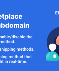 B2B Marketplace Vendor Subdomain for WooCommerce