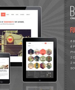 Bigbang - Responsive WordPress Theme