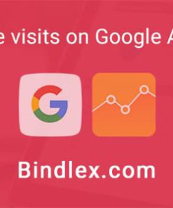 Bindlex Analytics Visitors - Millions of visits for Google Analytics