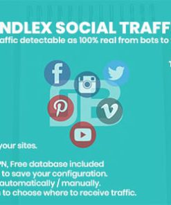 Bindlex Social Traffic