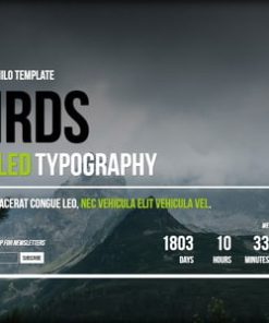 Birds || Responsive Coming Soon Page