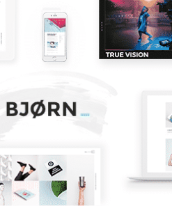 Bjorn - Creative Agency & Freelancer Portfolio Theme