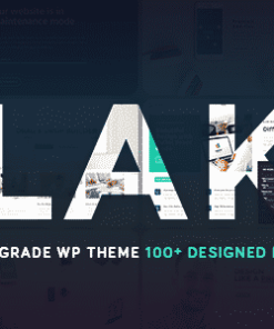 Blake | High-Grade MultiPurpose WordPress Theme