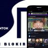 Blekok Proxy Browser - Unblock Sites with Facebook Biding Ads