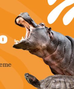 Bonko | Safari & Zoo WordPress Theme