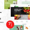 Broxi – Organic & Food WooCommerce WordPress Theme