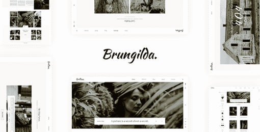 Brungilda - Photography WordPress theme