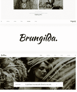 Brungilda - Photography WordPress theme