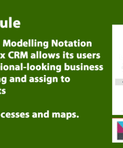 Business Process Modelling 1.0.6. module for Perfex CRM