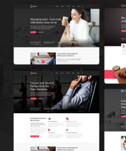 Castor - Business Consulting WordPress Theme