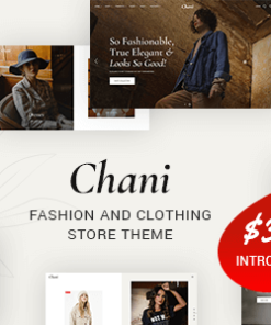 Chani - Fashion And Clothing Store Theme