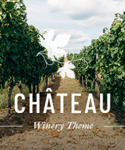 Château - Winery and Wine Shop Theme