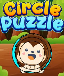 Circle Puzzle