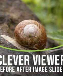 Clever Viewer - Before After Plugin for WordPress