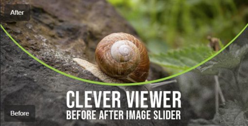 Clever Viewer - Before After Plugin for WordPress