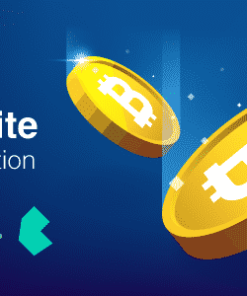 Coin Lite (Bulma) - Ready-Made Cryptocurrency Website With Live Prices