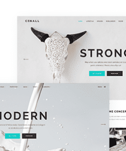 Conall - Clean Multipurpose Theme