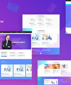 Concho - Consulting Services WordPress