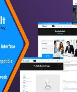 Consilt - Multi Purpose Business and Consulting Website CMS