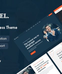 Consoel - Consulting Business WordPress Theme