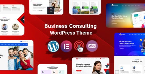 Consua - Business Consulting