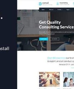 Consul -  Professional Services WordPress Theme