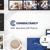 Consultancy Business