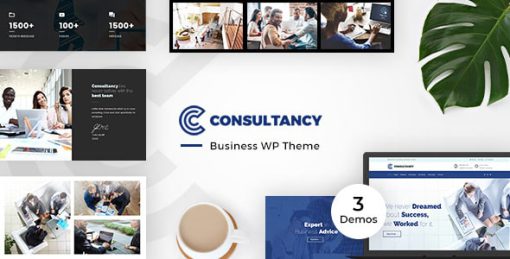 Consultancy Business