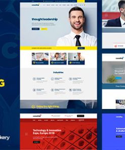 Consulting - Business, Finance WordPress Theme