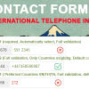 Contact Form 7 International Telephone Input