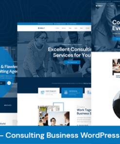 Conult - Consulting Business WordPress Themes