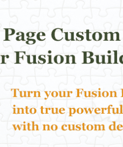 Custom Field Element for Fusion Builder