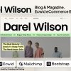 Darel Wilson - Blog and Magazine Blogger Theme