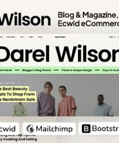 Darel Wilson - Blog and Magazine Blogger Theme