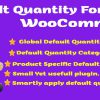 Default Product Quantity for WooCommerce