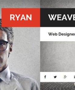 Divergent - Personal Vcard Resume WordPress Theme