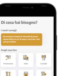 Dog Pet App - Vue JS - Strapi