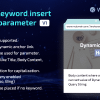 Dynamic Keyword Insert From URL parameter