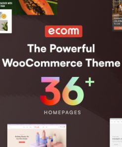 Ecomm - The Powerful WooCommerce Theme